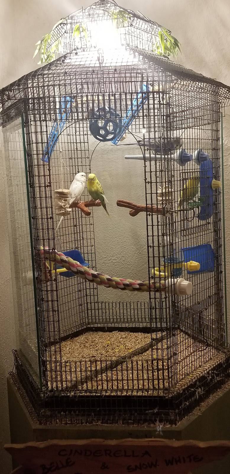 The Cultured Pearl Restaurant & Sushi Bar | restaurant | 301 Rehoboth Ave, Rehoboth Beach, DE 19971, USA | 3022278493 OR +1 302-227-8493