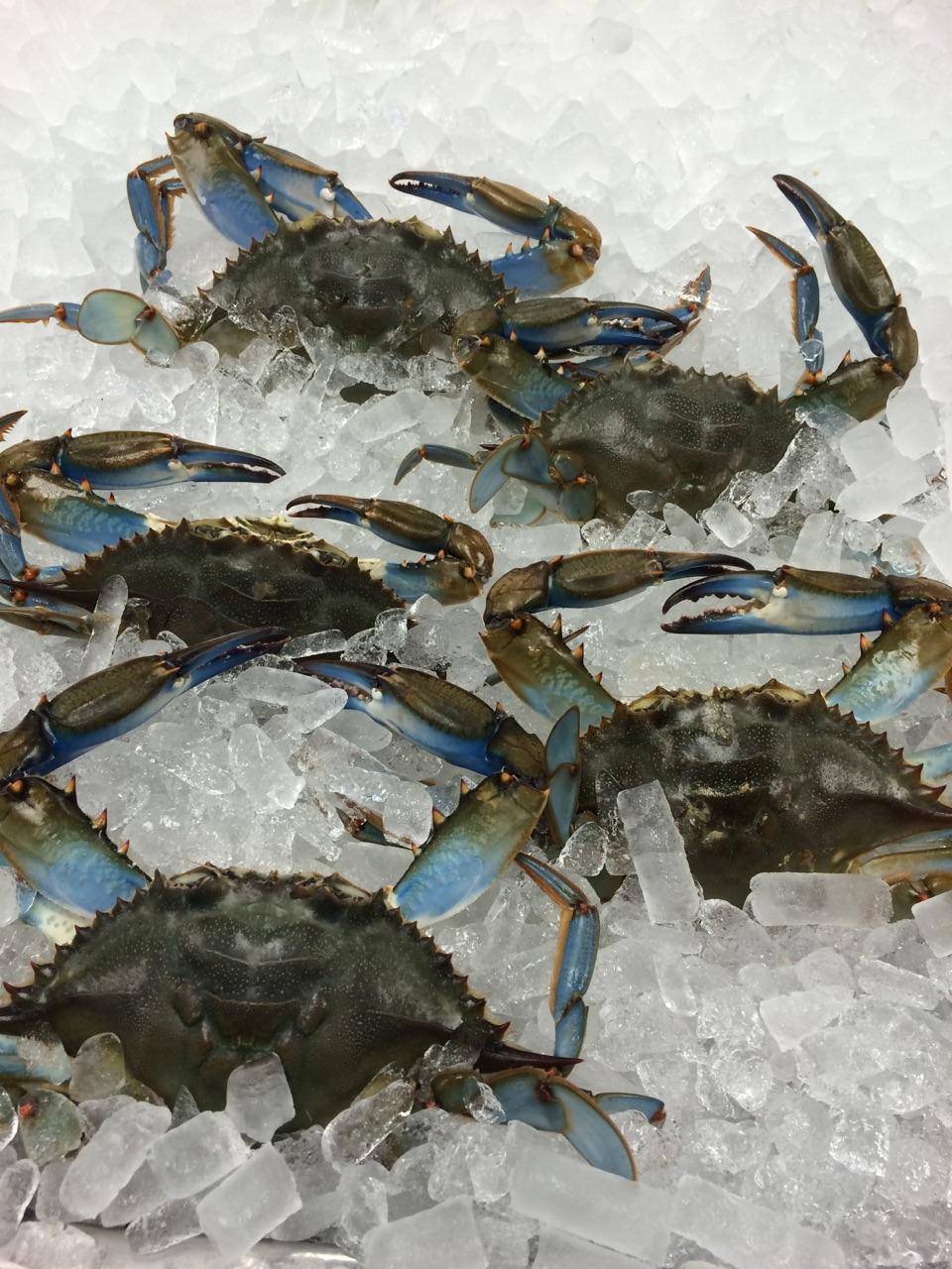 Off The Hook Seafood Restaurant | restaurant | 500 S Battlefield Blvd, Chesapeake, VA 23322, USA | 7574213313 OR +1 757-421-3313