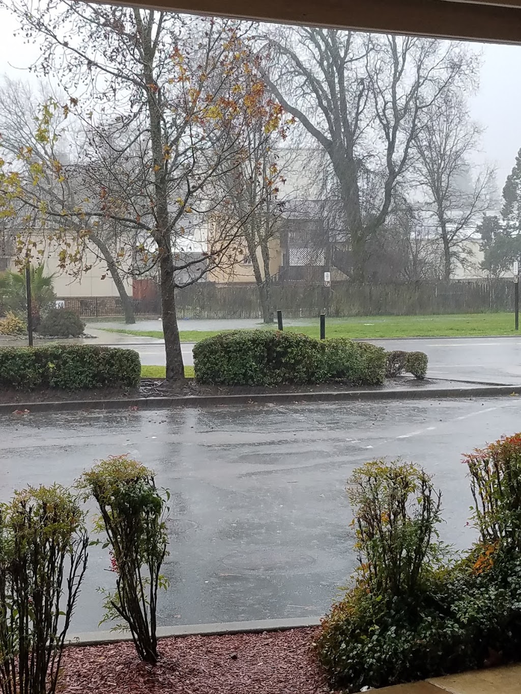 Jack in the Box | restaurant | 788 S Main St, Willits, CA 95490, USA | 7073546492 OR +1 707-354-6492