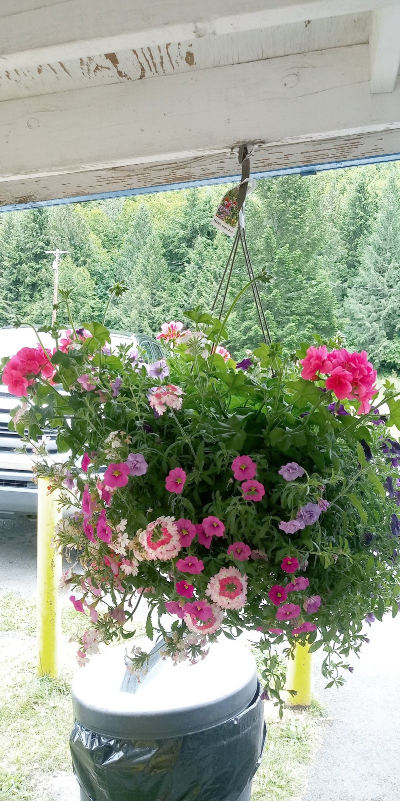 HUFF N PUFF | restaurant | 9455 US-12, Randle, WA 98377, USA | 3604975721 OR +1 360-497-5721