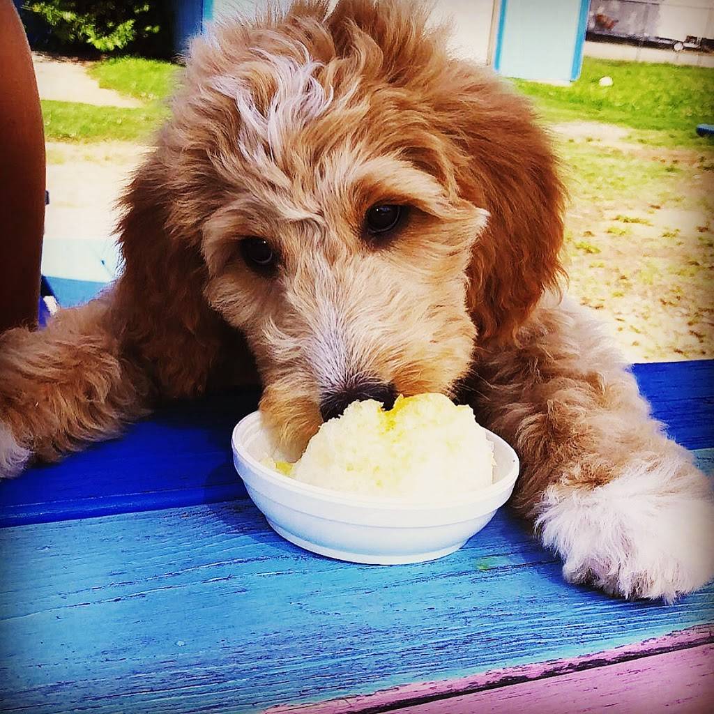 Pelicans SnoBalls | restaurant | 1708 E Innes St, Salisbury, NC 28146, USA | 7044331157 OR +1 704-433-1157