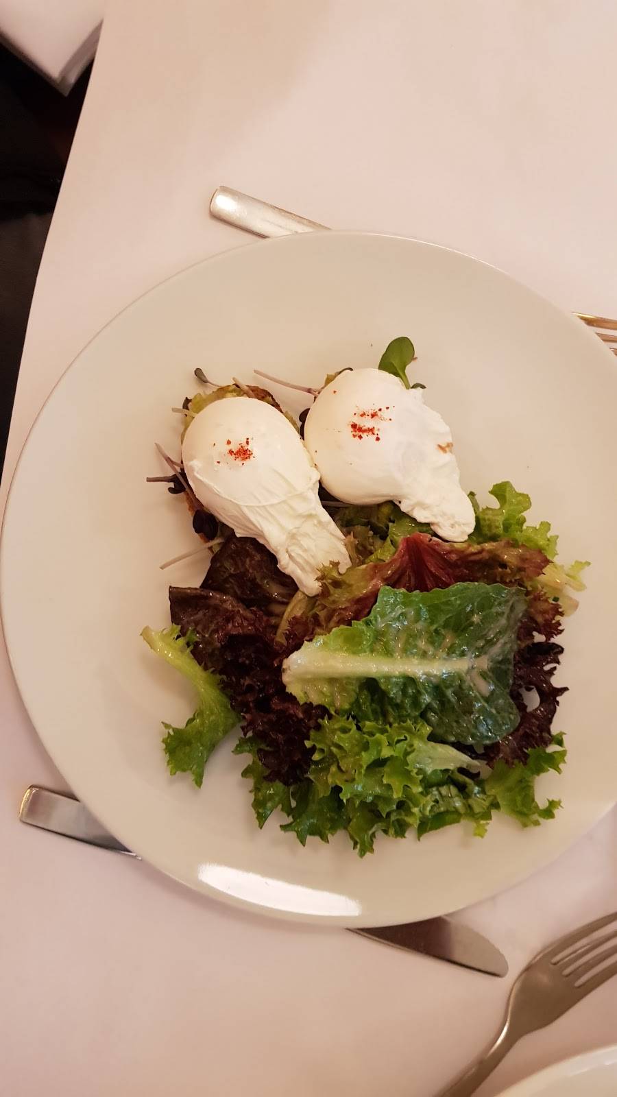 The Odeon | restaurant | 145 W Broadway, New York, NY 10013, USA | 2122330507 OR +1 212-233-0507