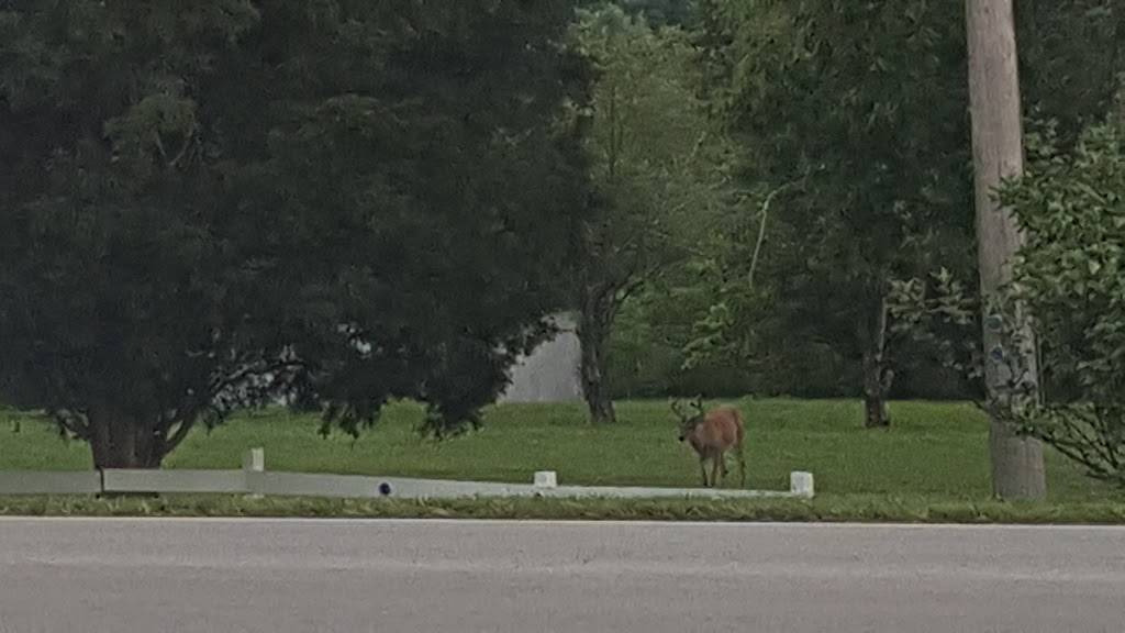 Cafe Chill Shaved Ice | restaurant | 2708 Paoli Pike, New Albany, IN 47150, USA | 5025099501 OR +1 502-509-9501