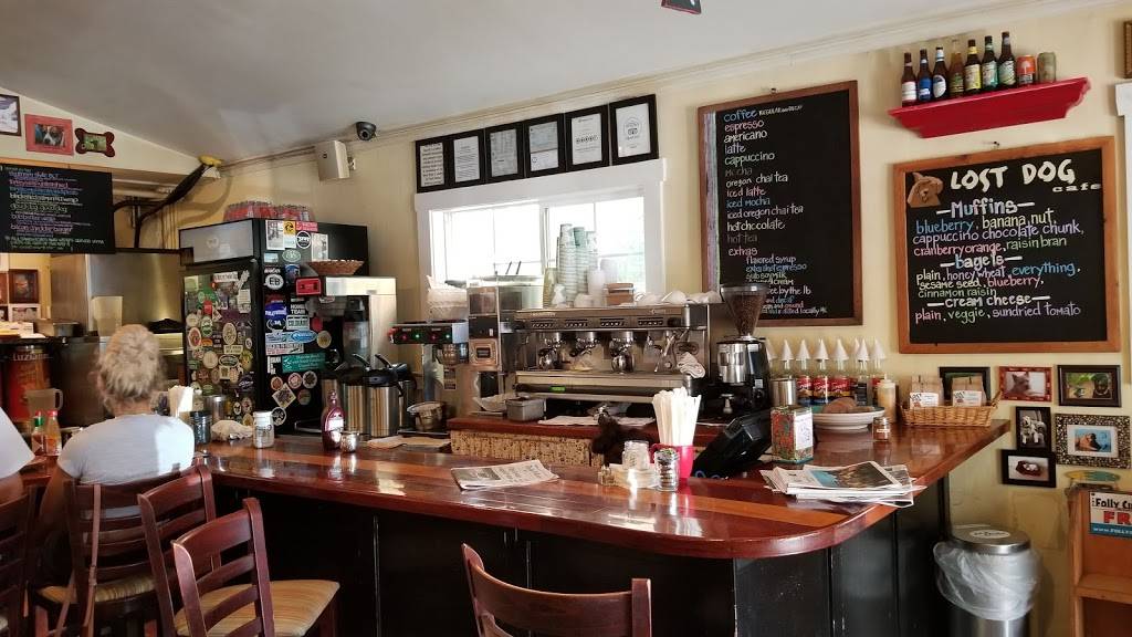 Lost Dog Cafe | cafe | 106 W Huron Ave, Folly Beach, SC 29439, USA | 8435889669 OR +1 843-588-9669