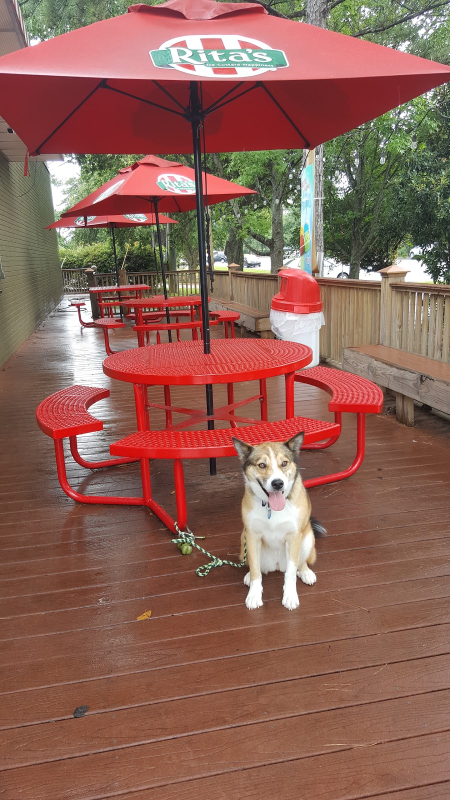 Ritas Italian Ice & Frozen Custard | restaurant | 420 Eastern Shore Shopping Center, Fairhope, AL 36532, USA | 2515177472 OR +1 251-517-7472