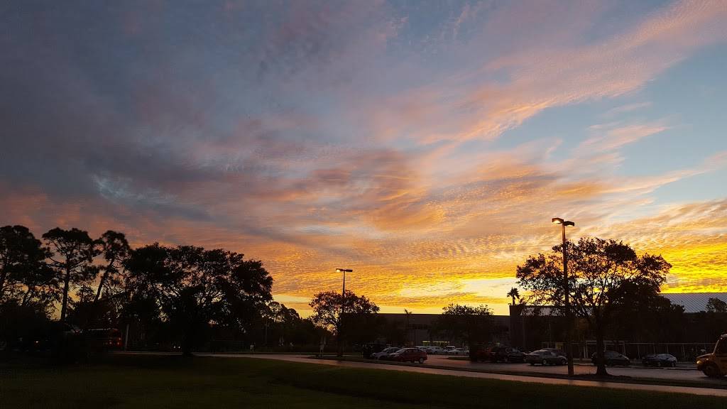 Delicias Latina | restaurant | 1217 Airport-Pulling Rd, Naples, FL 34104, USA | 2396436110 OR +1 239-643-6110