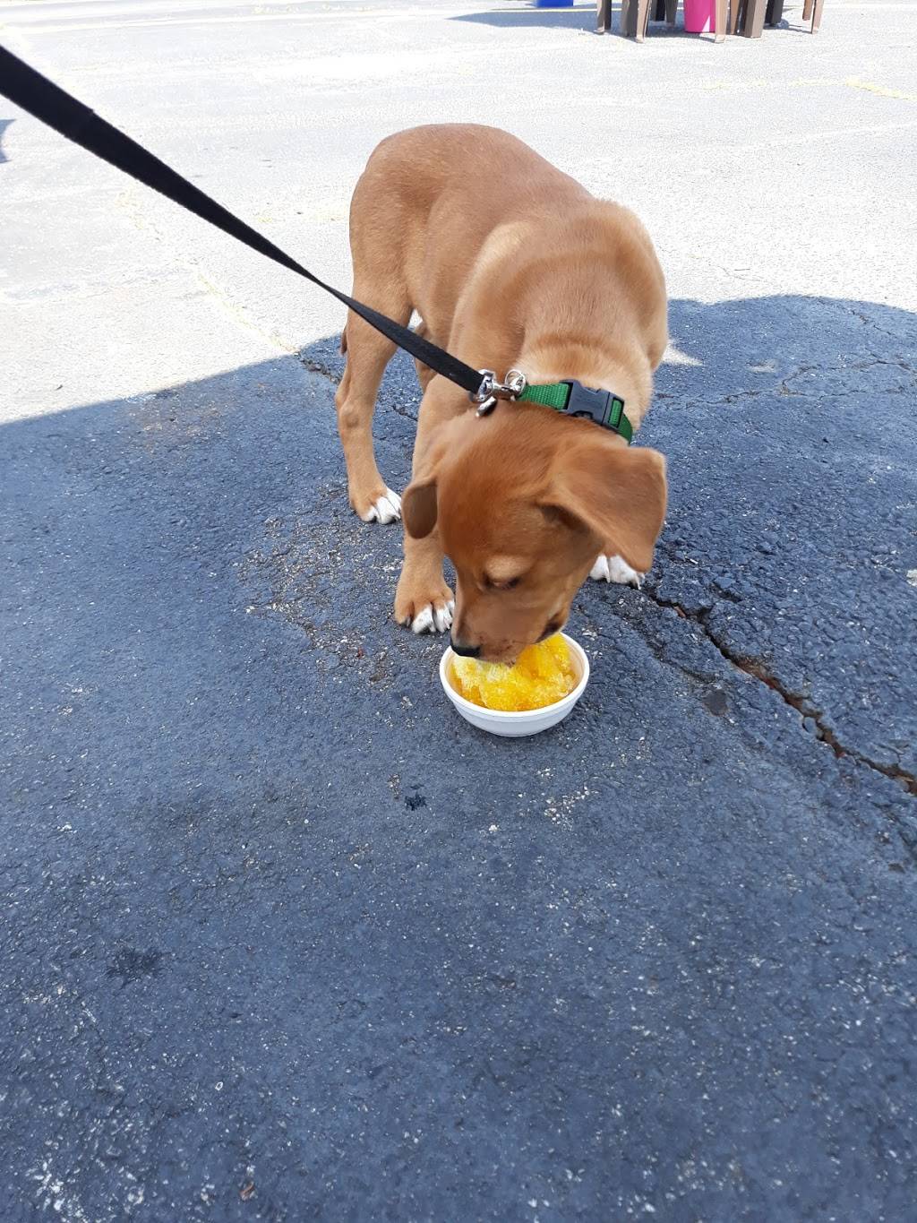 Pelicans SnoBalls | restaurant | 846 S Buncombe Rd, Greer, SC 29650, USA | 8647720028 OR +1 864-772-0028