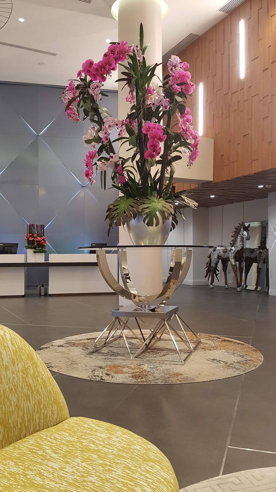 The Muse Rooftop By Olivia | restaurant | 1780 Polk St, Hollywood, FL 33020, USA | 9545419964 OR +1 954-541-9964