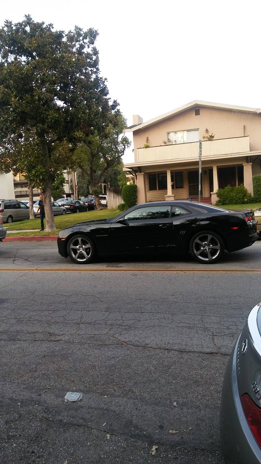 Specialtys Cafe & Bakery | cafe | 520 N Brand Blvd, Los Angeles, CA 91203, USA | 8775022837 OR +1 877-502-2837