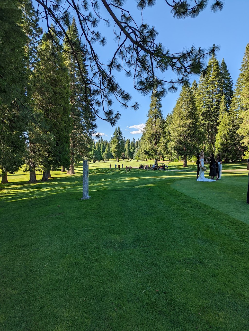 Lake Almanor Golf Club | restaurant | Golf Club Rd, Lake Almanor, CA 96137, USA | 5302592868 OR +1 530-259-2868