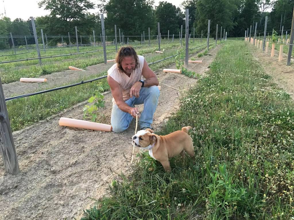 Jules J Berta Vineyards | meal takeaway | 1409 Darden Ave, Albertville, AL 35951, USA | 2568915115 OR +1 256-891-5115