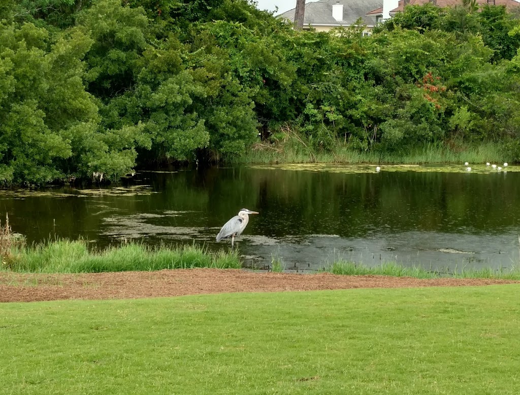 Lost Key Golf Club | restaurant | 625 Lost Key Dr, Pensacola, FL 32507, USA | 8505492160 OR +1 850-549-2160