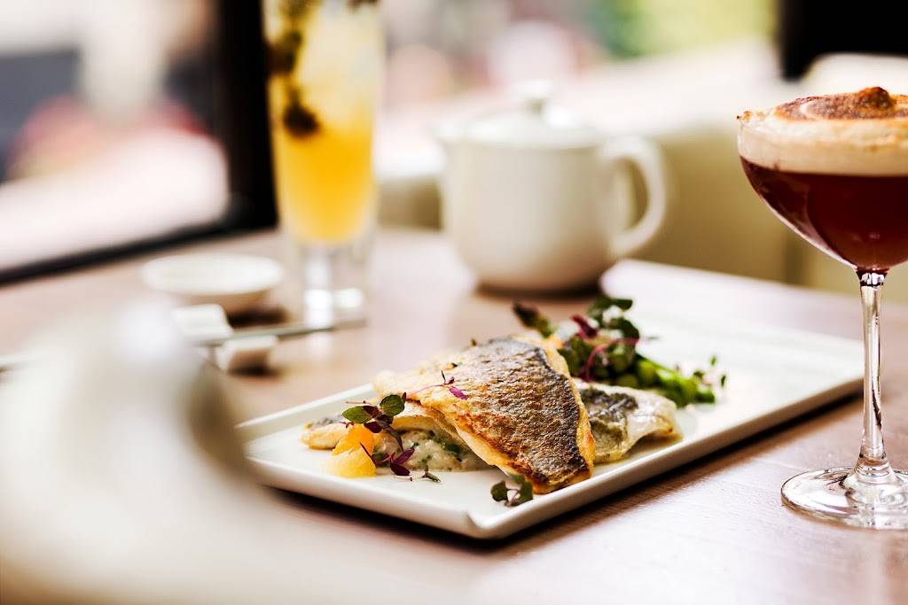 Jellyfish | night club | 1009 N Rush St, Chicago, IL 60611, USA | 3126603111 OR +1 312-660-3111