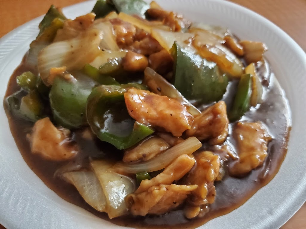 Kowloon Restaurant | restaurant | 1331 US-65, Lake Village, AR 71653, USA | 8702653511 OR +1 870-265-3511