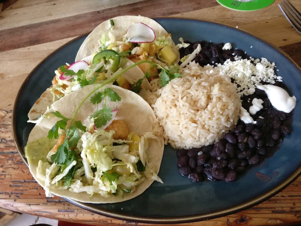 Roccos Tacos & Tequila Bar | restaurant | 5250 Town Center Cir, Boca Raton, FL 33486, USA | 5614162131 OR +1 561-416-2131