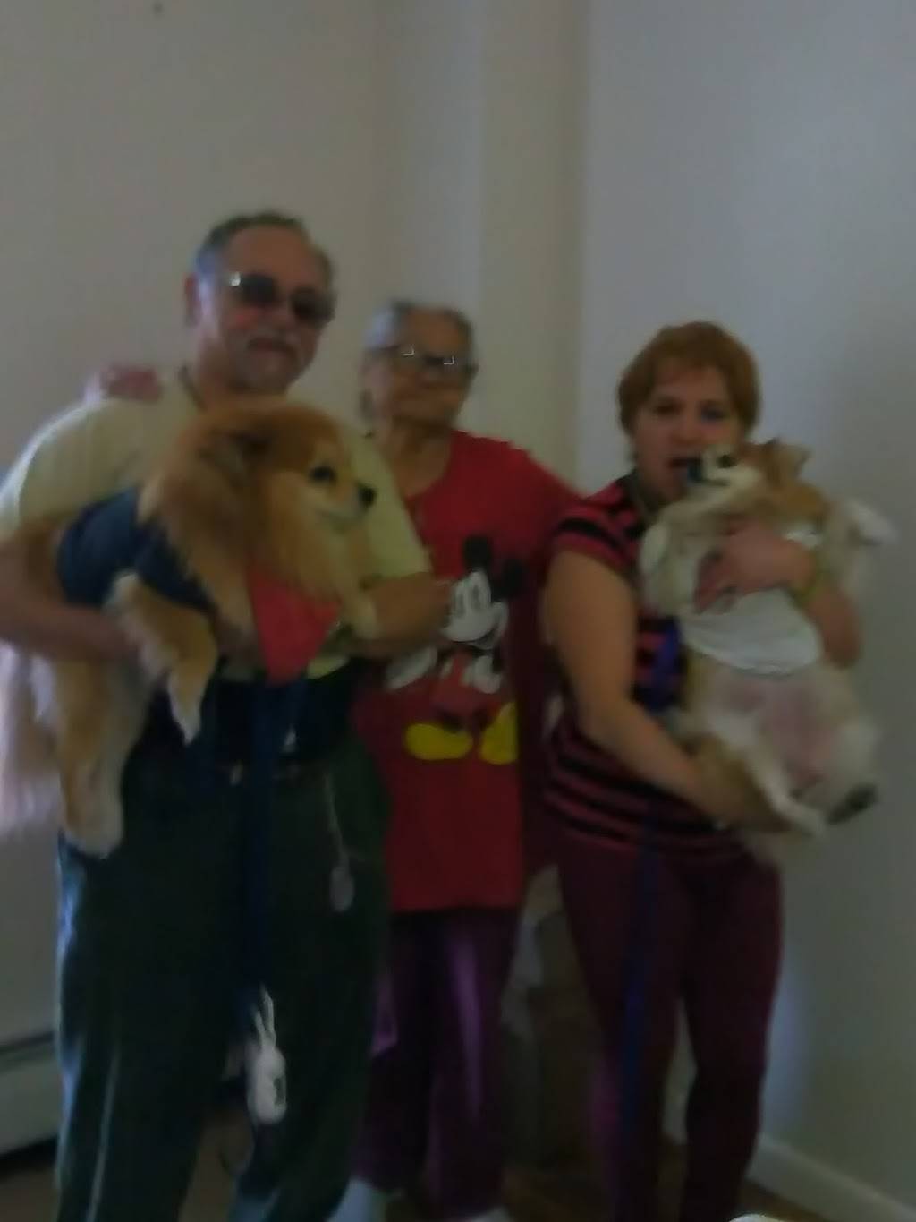 May May | restaurant | 741 Hunts Point Ave, Bronx, NY 10474, USA | 7185425307 OR +1 718-542-5307