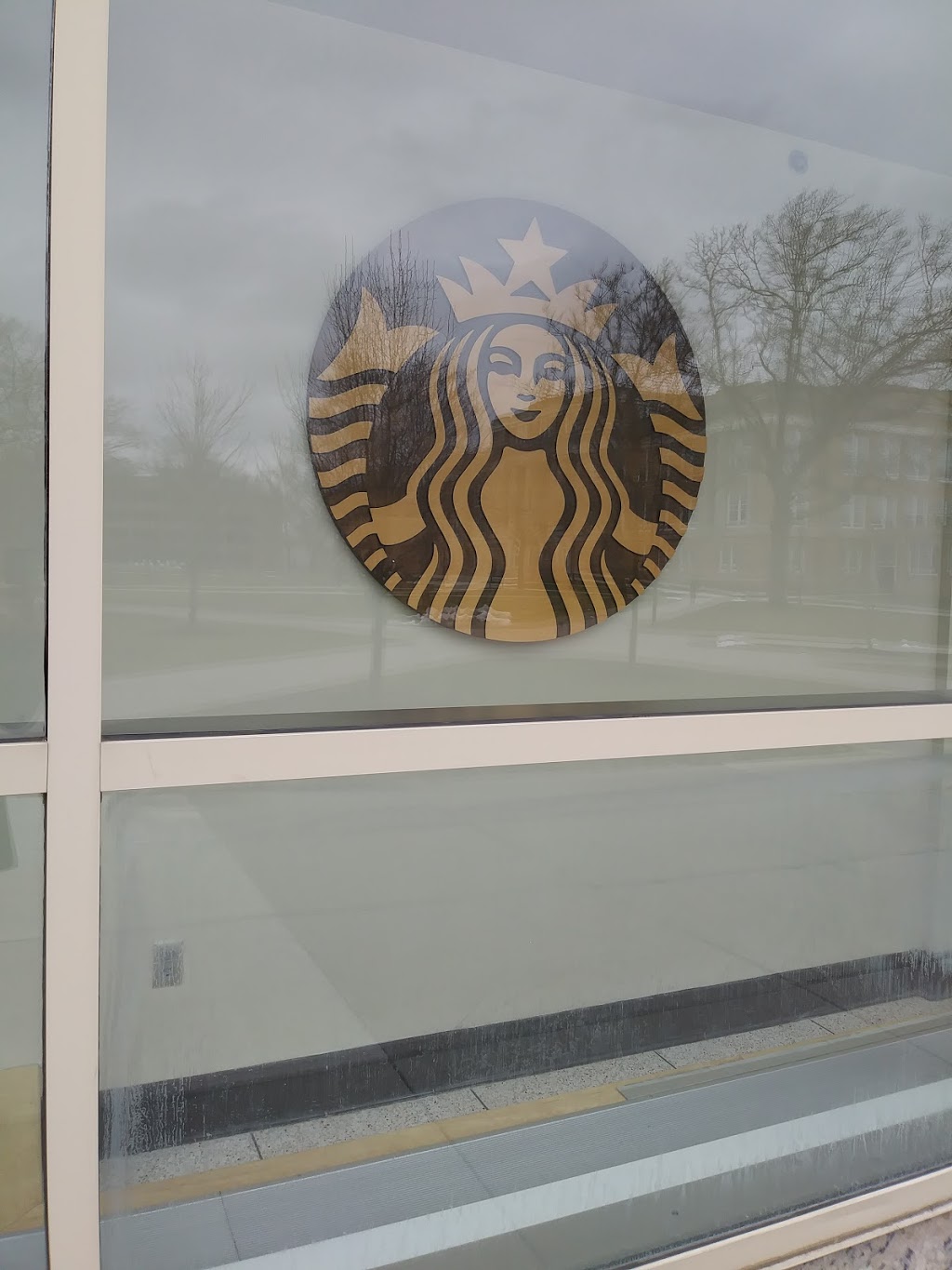 Starbucks | restaurant | 806 Ridge St, Bowling Green, OH 43403, USA | 4193729011 OR +1 419-372-9011