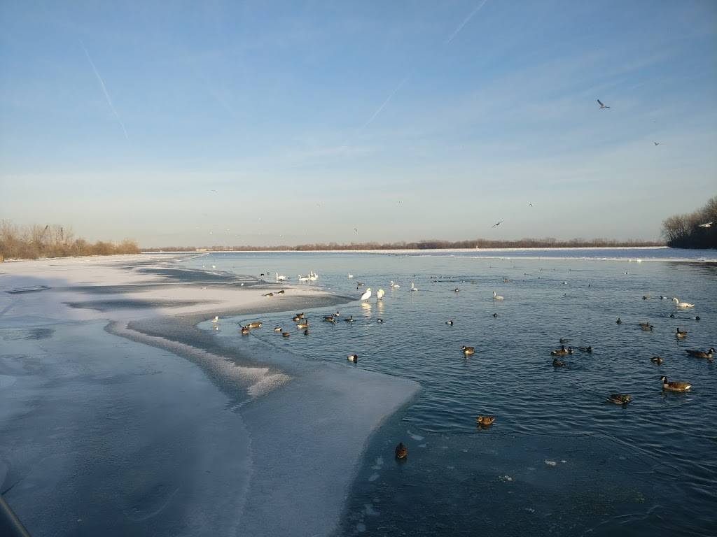 Grand Port Grill | restaurant | 4453 W Jefferson Ave, Ecorse, MI 48229, USA | 3136339114 OR +1 313-633-9114