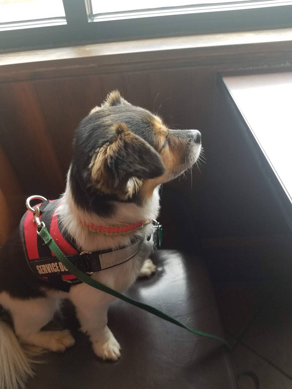 Zaxbys Chicken Fingers & Buffalo Wings | restaurant | 2575 McIngvale Rd, Hernando, MS 38632, USA | 6624299949 OR +1 662-429-9949