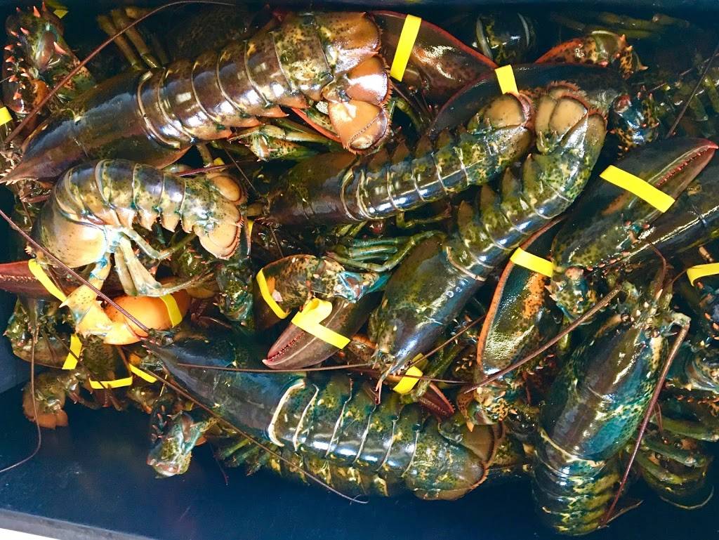 Smittys State Pier Lobster Pound | restaurant | 1 Ocean Blvd, Hampton, NH 03842, USA | 6039261488 OR +1 603-926-1488