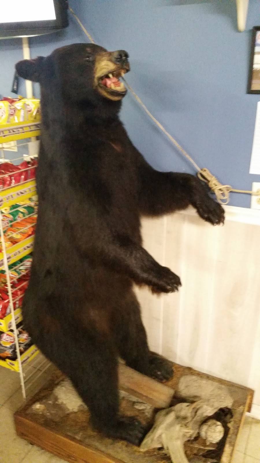 Chilli Bears Bar & Grill | restaurant | 212 N State St, Greenview, IL 62642, USA | 2179682250 OR +1 217-968-2250