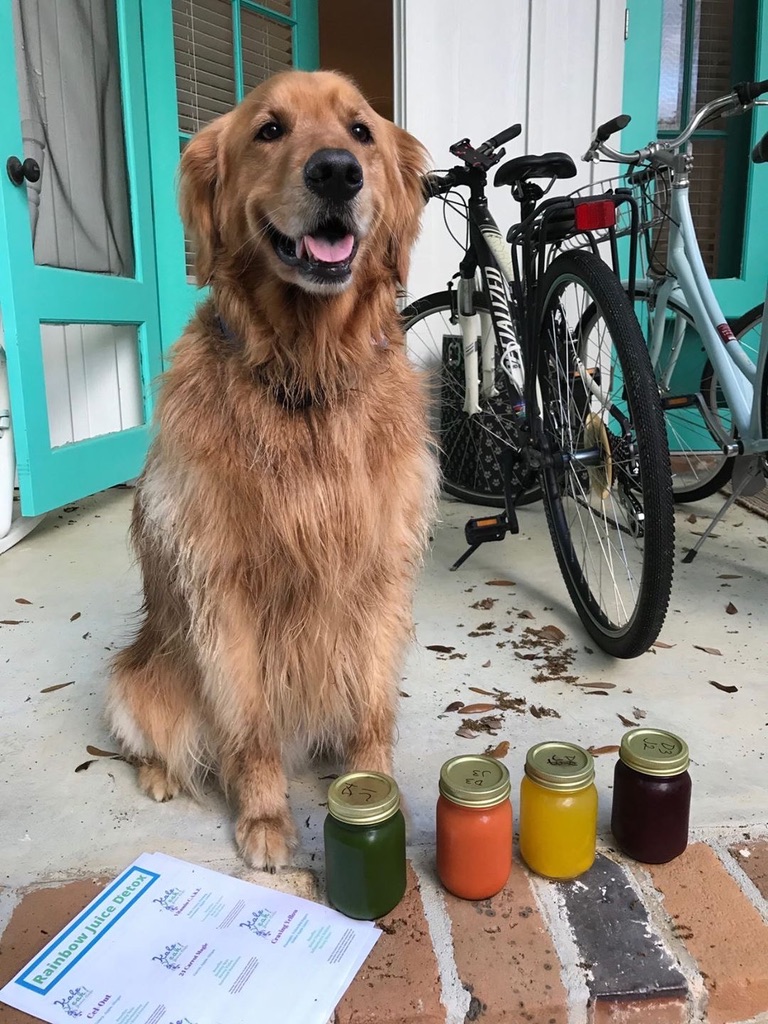 Kale Yeah! Juice Cafe | restaurant | 20733 Miflin Rd Suite B, Foley, AL 36535, USA | 2519439363 OR +1 251-943-9363