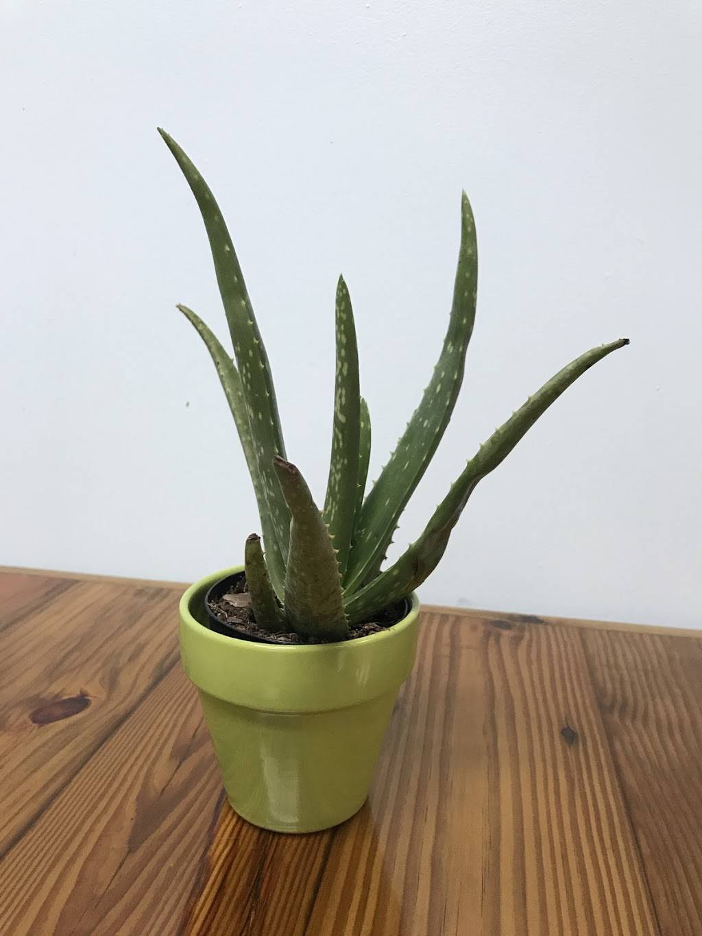 Poke Point | restaurant | 3747 Bruce B Downs Blvd, Wesley Chapel, FL 33544, USA | 8135288464 OR +1 813-528-8464