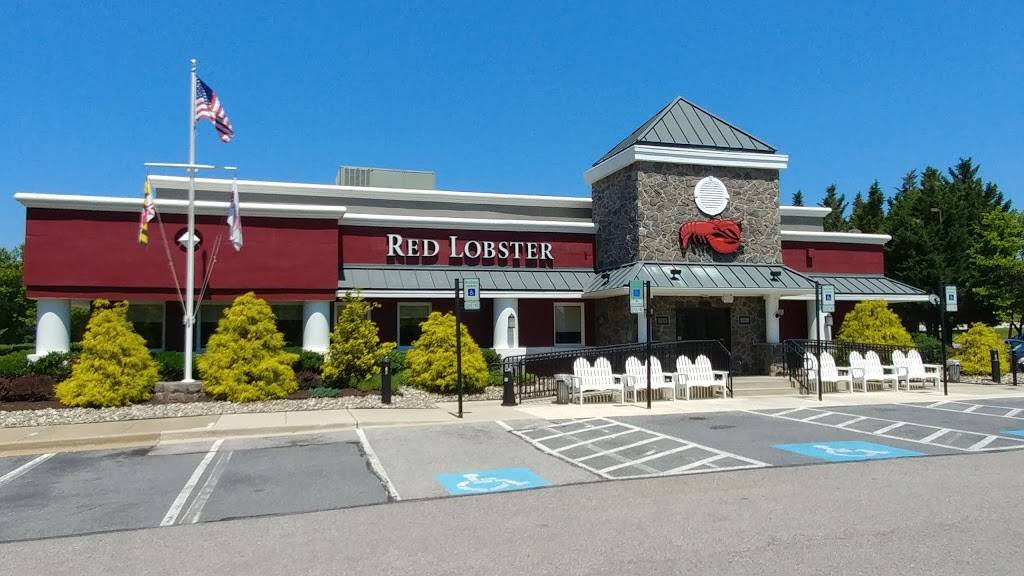Red Lobster | restaurant | 9011 Snowden Square Dr, Columbia, MD 21046, USA | 4102901677 OR +1 410-290-1677