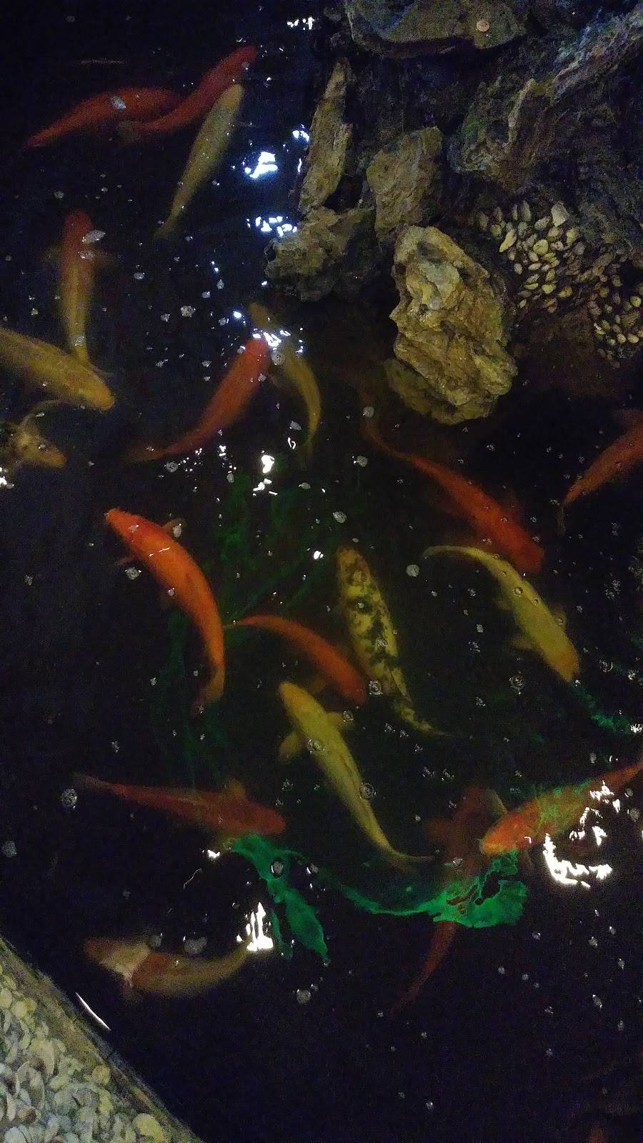 Hop Bo Chinese Restaurant | restaurant | 2447 N Wickham Rd # 120, Melbourne, FL 32935, USA | 3216106888 OR +1 321-610-6888