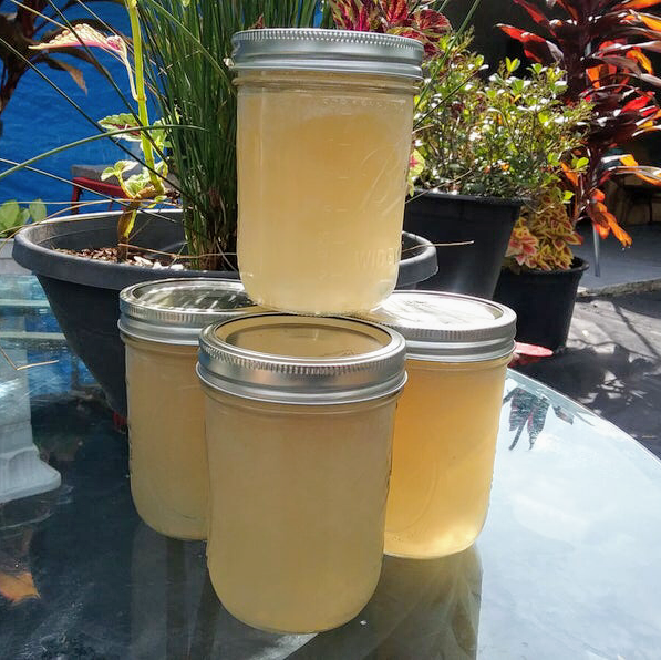 Strong Food | restaurant | 655 Arnau Dr, New Smyrna Beach, FL 32168, USA | 8506304756 OR +1 850-630-4756