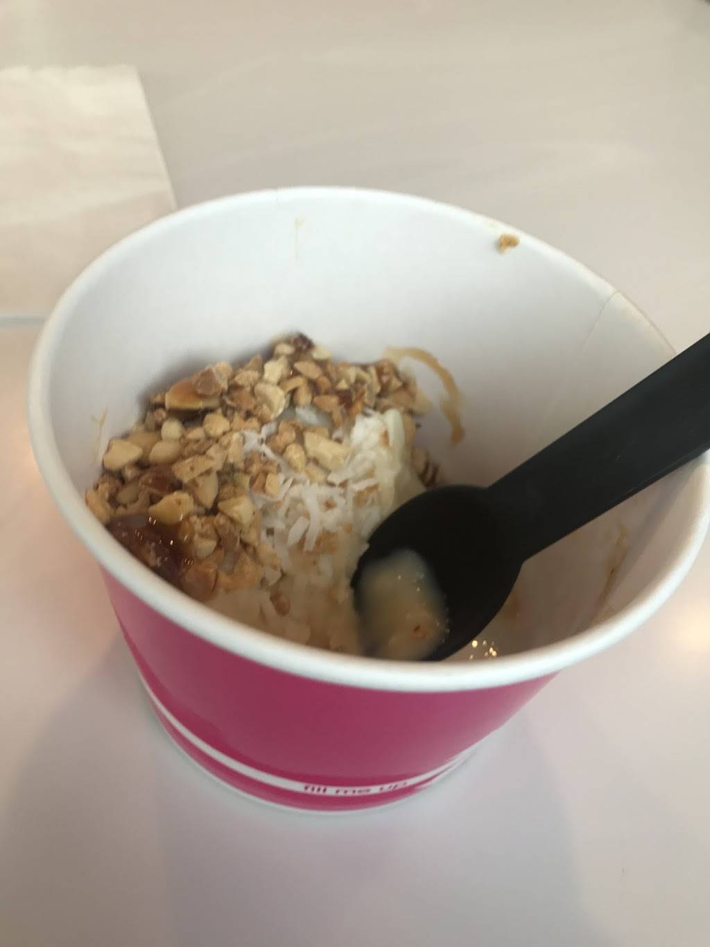 FROYO & COMPANY | cafe | 6901 Schaefer Rd, Dearborn, MI 48126, USA | 3135821111 OR +1 313-582-1111