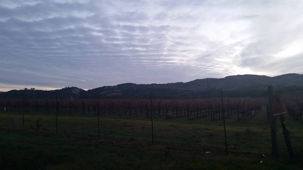 Subway | restaurant | 902 Enterprise Way Suite A Suite A, 900 Business Park Napa CA 94558 US, Napa, CA 94558, USA | 7072520800 OR +1 707-252-0800