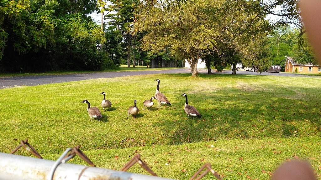 Wendys | restaurant | 2133 E Livingston Ave, Columbus, OH 43209, USA | 6142354693 OR +1 614-235-4693