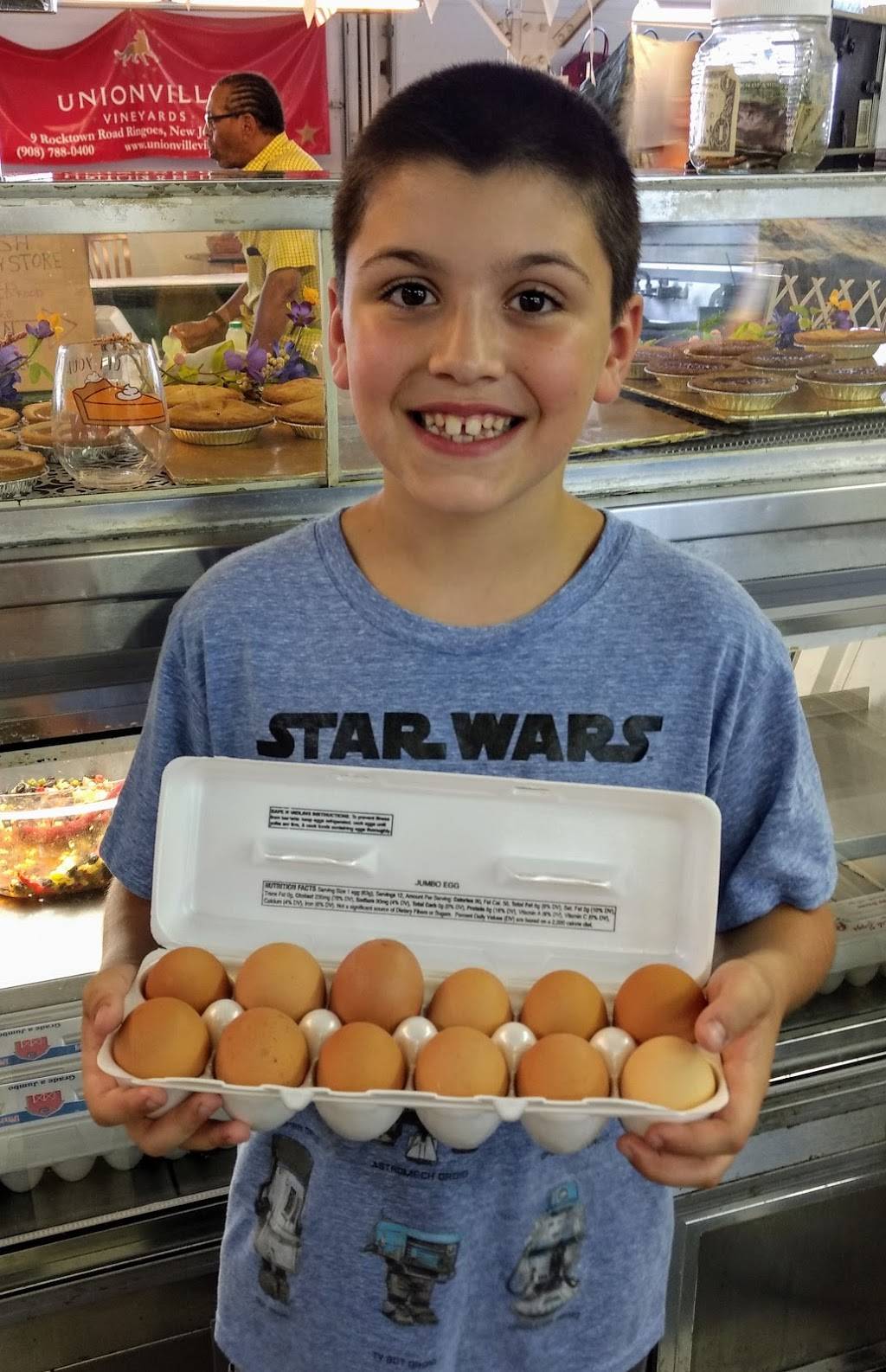 Pied Piper Bakery & Gourmet Shop | bakery | 960 Spruce St, Ewing Township, NJ 08638, USA | 6097755087 OR +1 609-775-5087