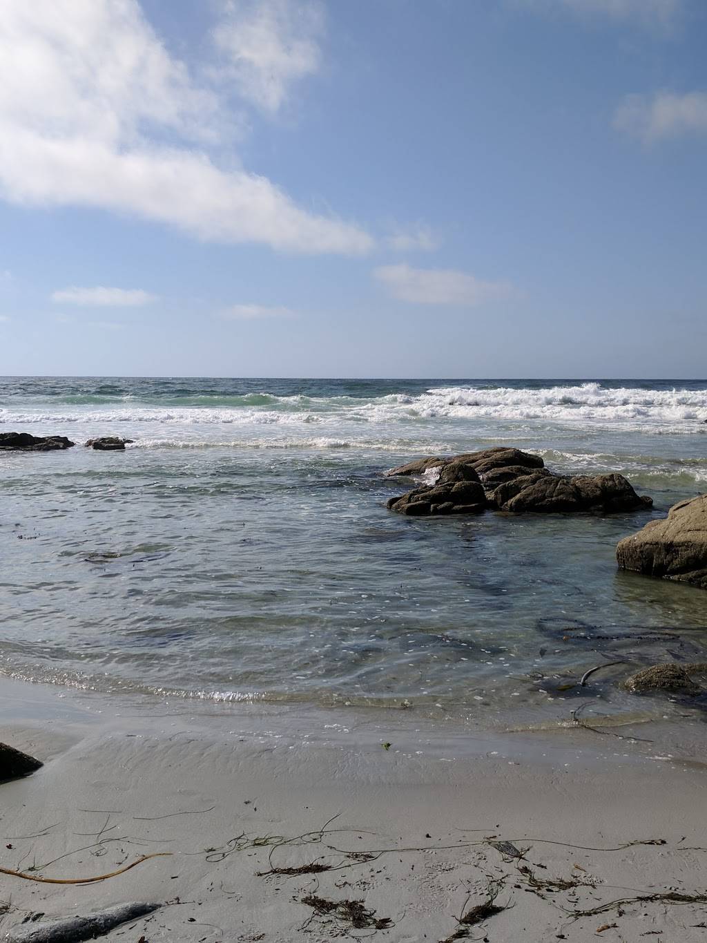 Poppy Hills Golf Course | restaurant | 3200 Lopez Rd, Pebble Beach, CA 93953, USA | 8316251513 OR +1 831-625-1513