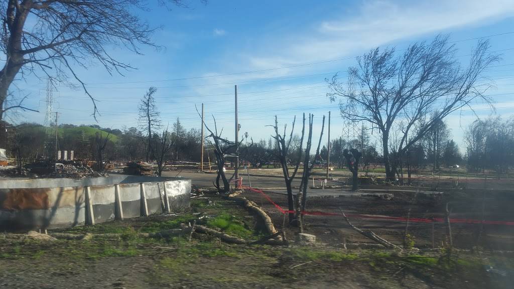 Bad Ass Coffee of Hawaii | cafe | 90 Mark West Springs Rd Suite 100, Santa Rosa, CA 95403, USA | 7075263434 OR +1 707-526-3434