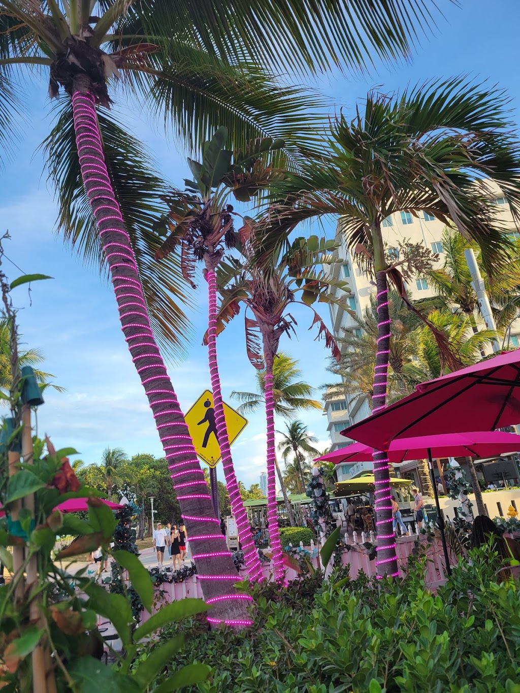 Pink Taco | restaurant | 1200 Ocean Dr, Miami Beach, FL 33139, USA | 3055078980 OR +1 305-507-8980