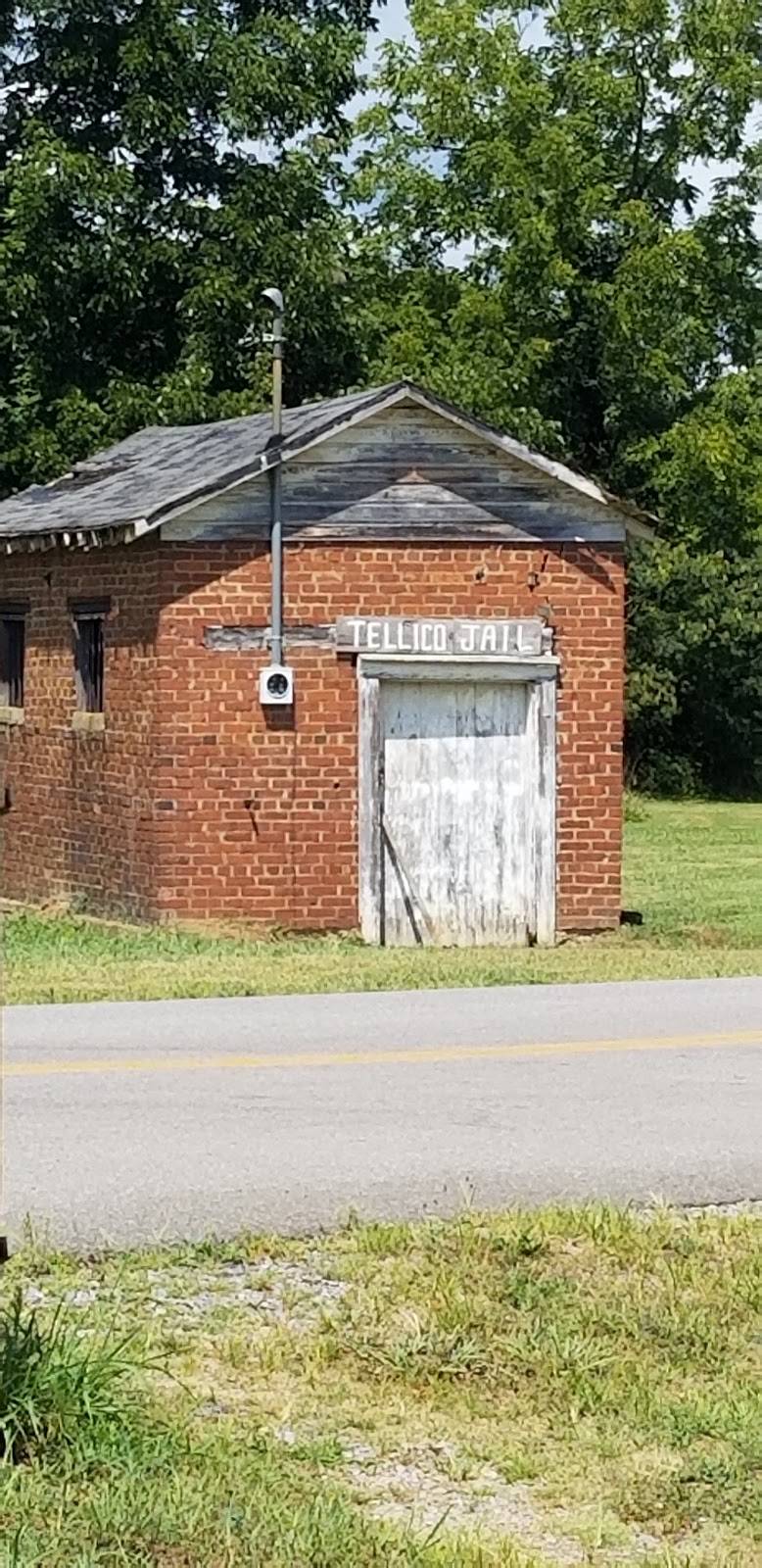 Cherohala Skyway Cafe | restaurant | 450 Cherohala Skyway, Tellico Plains, TN 37385, USA | 4232536200 OR +1 423-253-6200