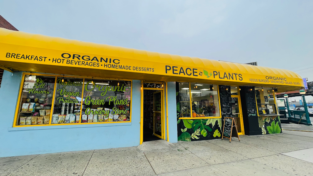 Peace “N” Plants | restaurant | 5317 Broadway, Queens, NY 11377, USA | 3474680581 OR +1 347-468-0581