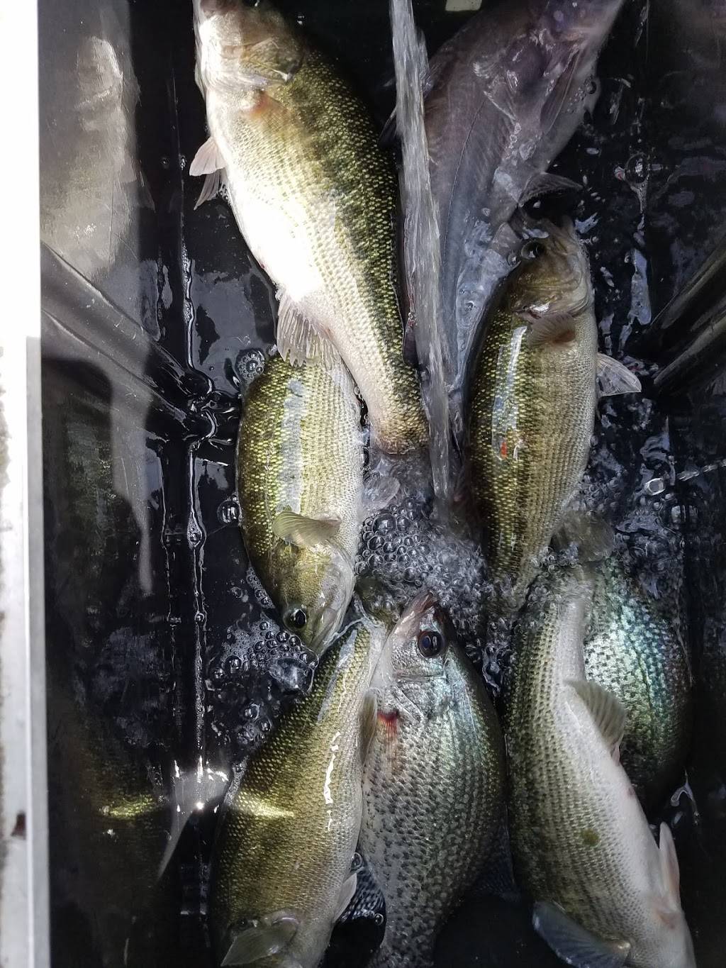 Lay Port Marina | restaurant | 110 Lay Port Loop, Shelby, AL 35143, USA | 2056697746 OR +1 205-669-7746