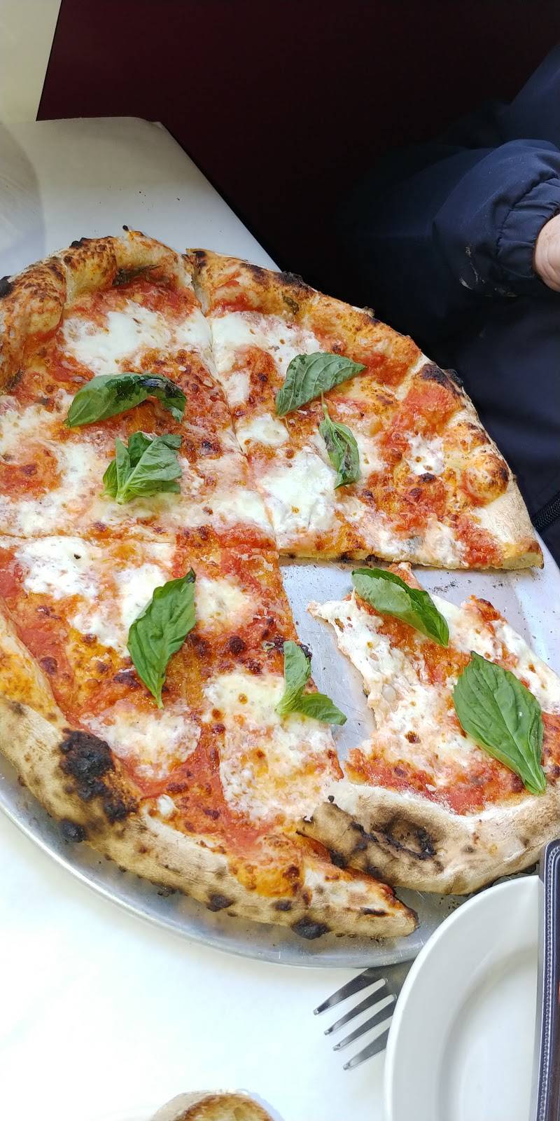 Sardellas Italian Restaurant | restaurant | 30 Memorial Blvd W, Newport, RI 02840, USA | 4018496312 OR +1 401-849-6312