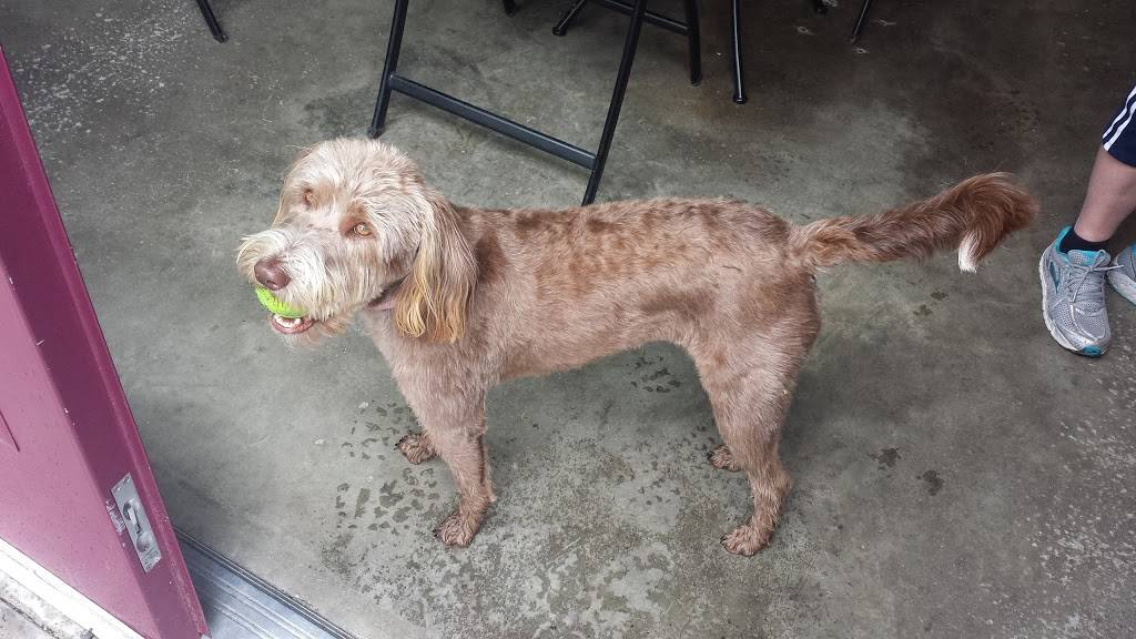 Gouger Cellars | restaurant | 26506 NE 10th Ave, Ridgefield, WA 98642, USA | 3609094707 OR +1 360-909-4707