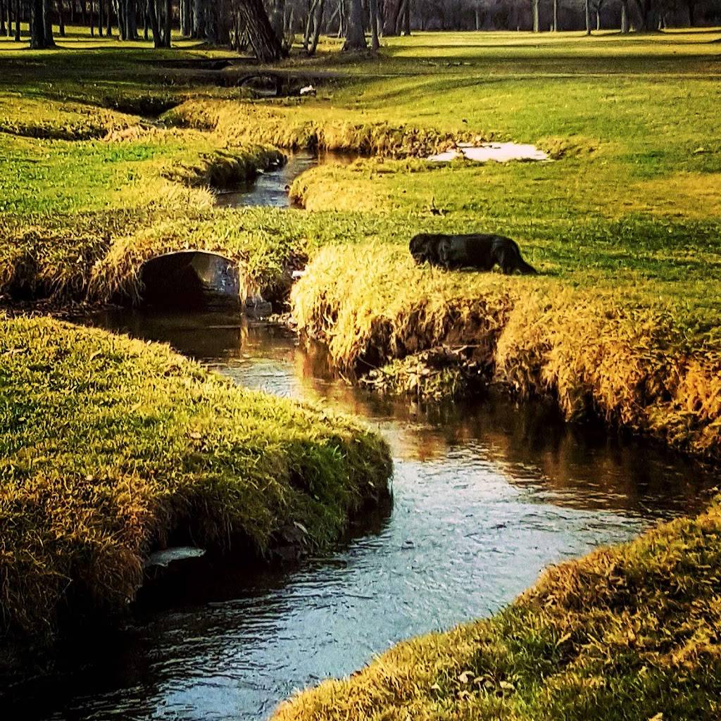 Mendon Golf Club | restaurant | 226 Mendon Ionia Rd, Honeoye Falls, NY 14472, USA | 5856243770 OR +1 585-624-3770