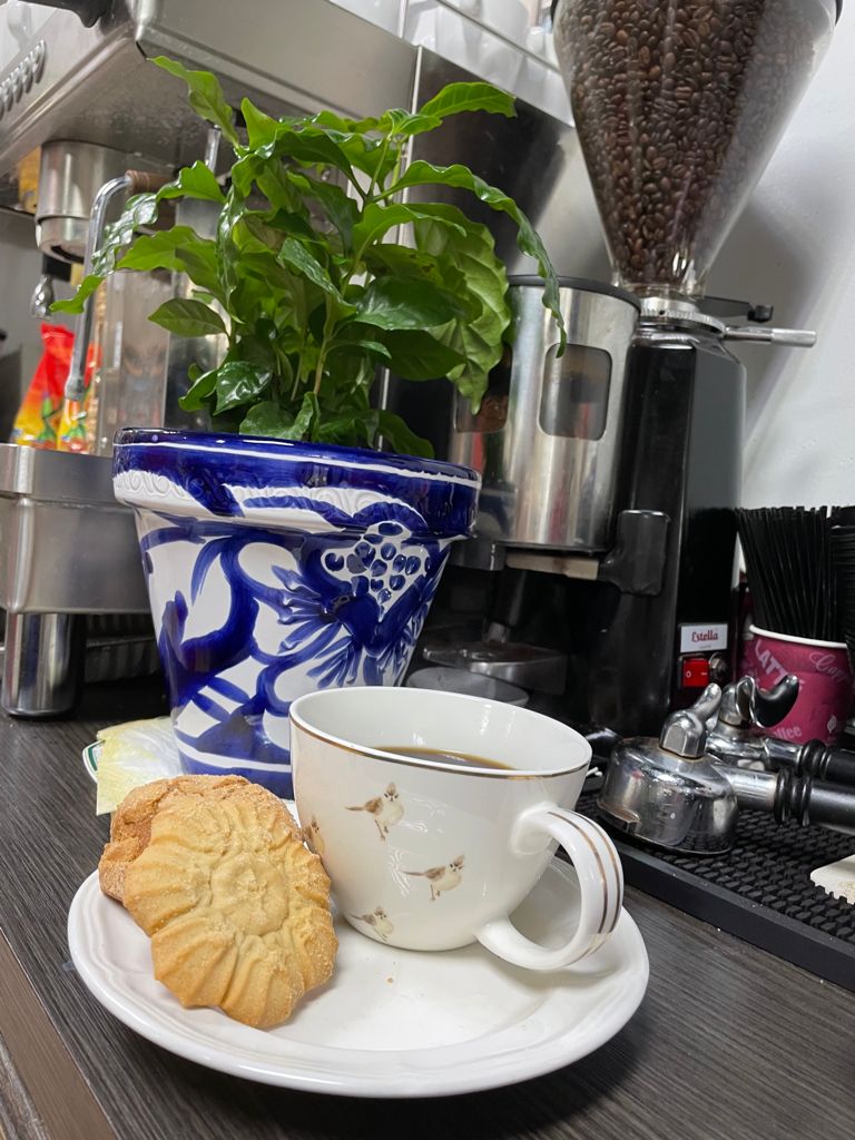 Melinas Café | restaurant | 1126 E Donegan Ave, Kissimmee, FL 34744, USA | 4078463255 OR +1 407-846-3255