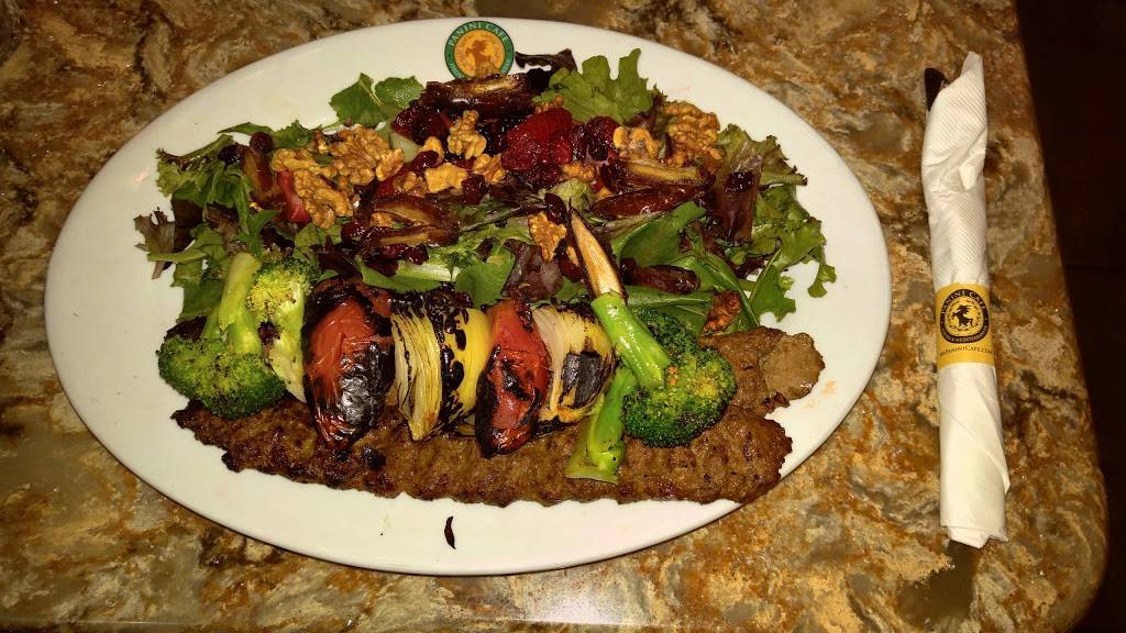 Panini Kabob Grill - Playa Vista | restaurant | 12751 Millennium Dr #110, Los Angeles, CA 90094, USA | 4244435042 OR +1 424-443-5042