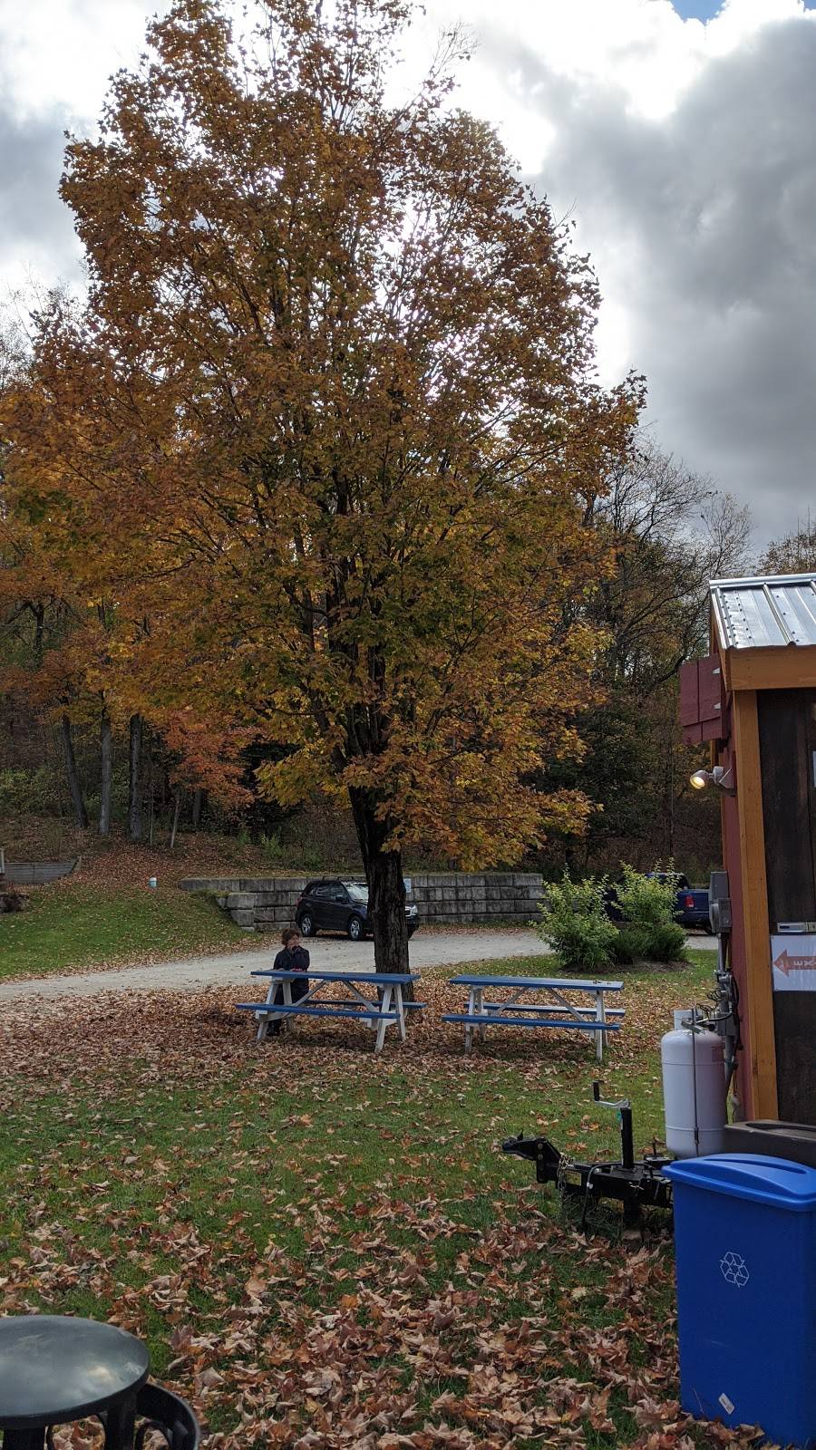 Mudgies Food Truck | restaurant | 2 Lower Main St E, Johnson, VT 05656, USA | 8023706514 OR +1 802-370-6514