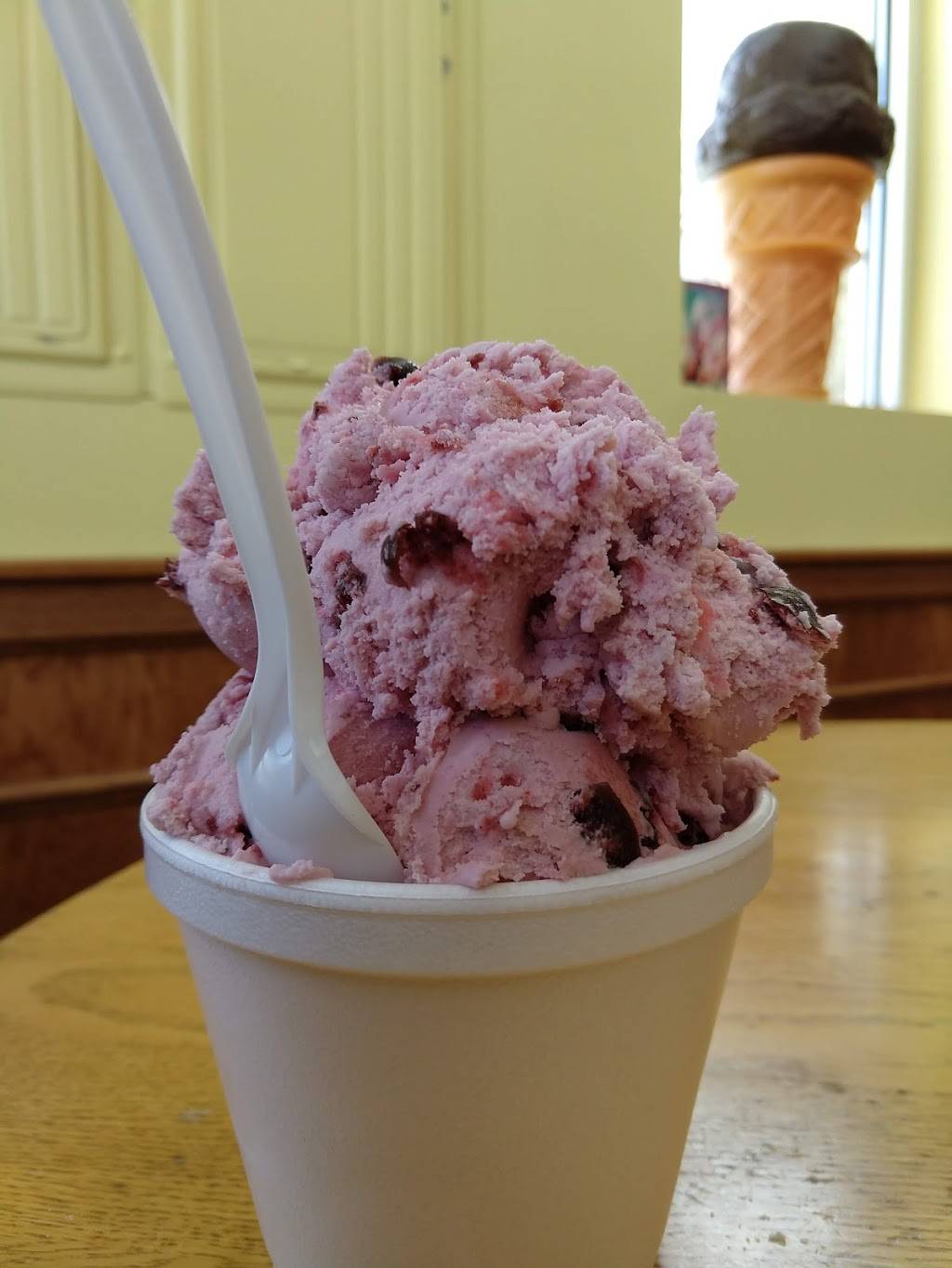 Village Ice Cream & Cafe | restaurant | 251 S Bridge St, Dimondale, MI 48821, USA | 5176468566 OR +1 517-646-8566