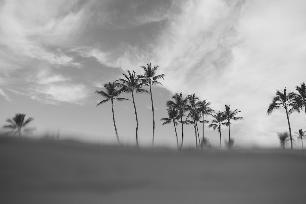 Shootz Fish And Beer | restaurant | 602 S Tremont St STE 101, Oceanside, CA 92054, USA | 7606963524 OR +1 760-696-3524