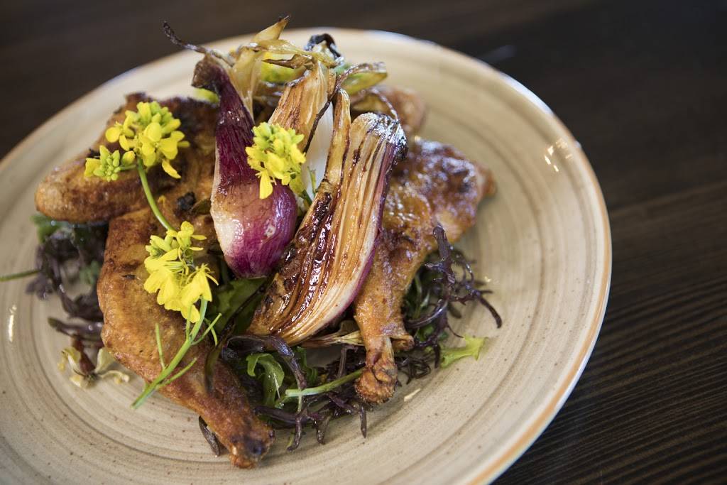 CENTO Osteria | restaurant | 100 Brannan St, San Francisco, CA 94107, USA | 4155431000 OR +1 415-543-1000