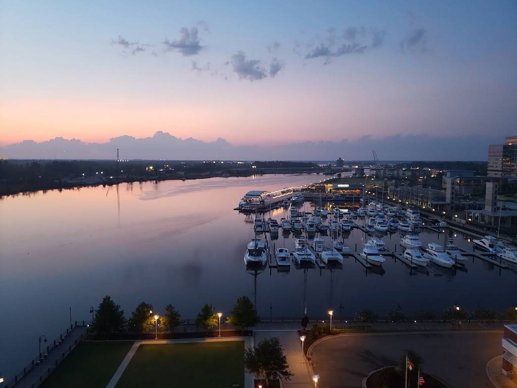 Cloud 9 Rooftop Bar | restaurant | 9 Estell Lee Pl, Wilmington, NC 28401, USA | 9107269227 OR +1 910-726-9227